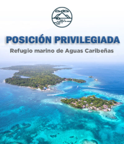 LOTES DE ENSUEÑO URBANIZADOS LOTES DE ENSUEÑO URBANIZADOS